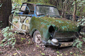 Trabi, El Dry (Vorschau)